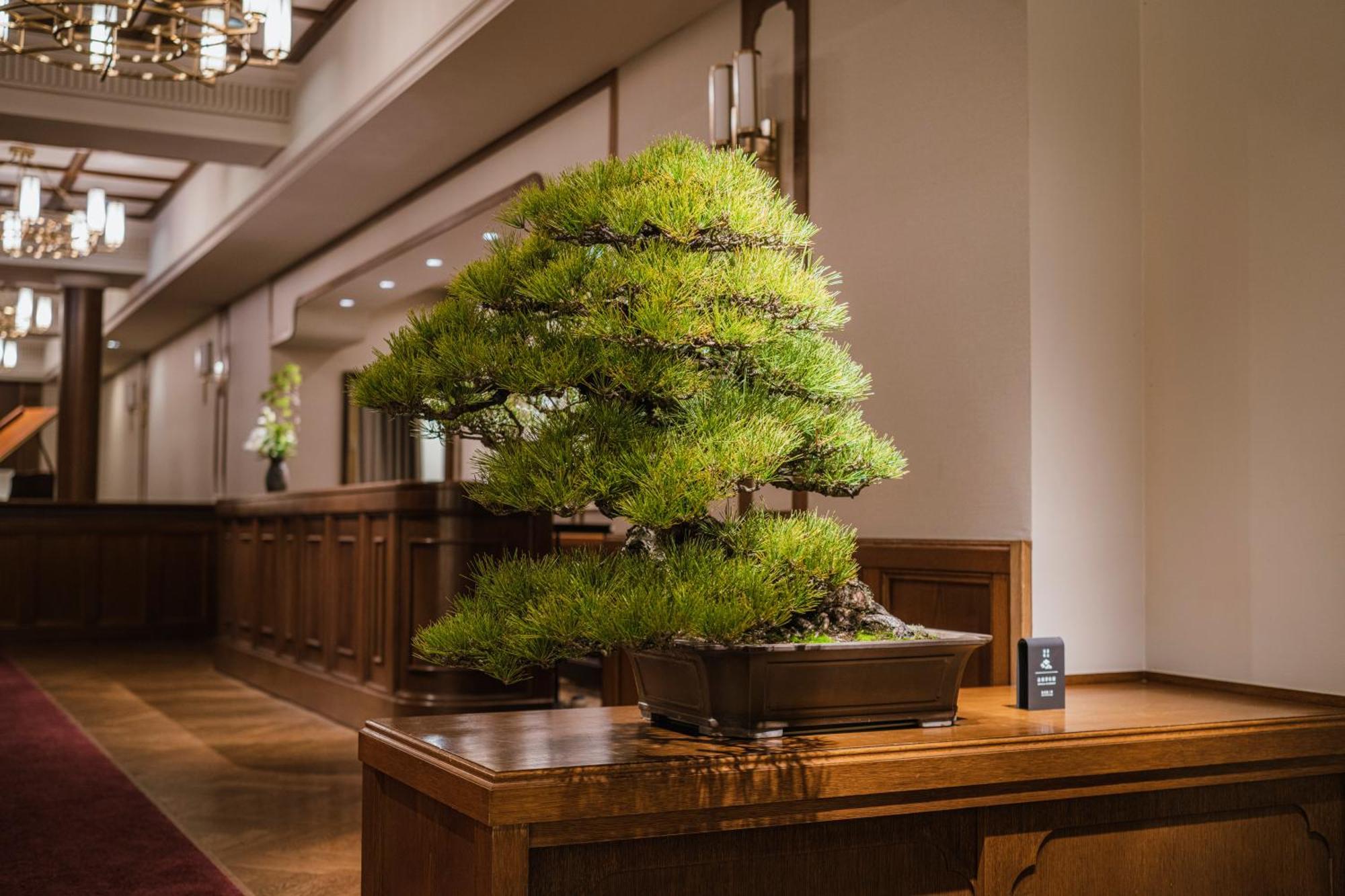 Hotel Shinzan Kinosaki Toyooka  Exteriér fotografie