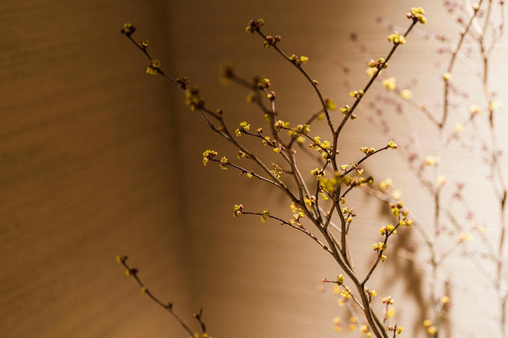 Hotel Shinzan Kinosaki Toyooka  Exteriér fotografie